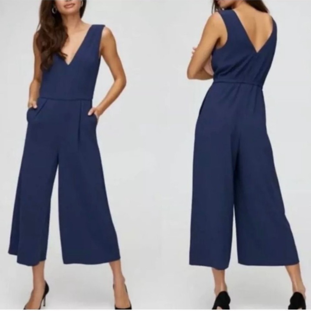 Aritzia Babaton Marcus Jumpsuit